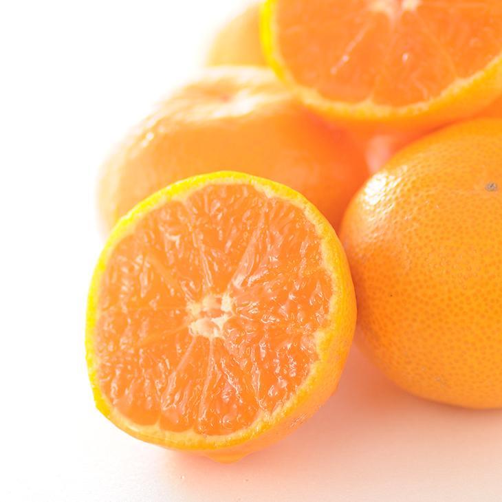 【ふるさと納税】蔵出しみかん3kg SMLサイズお任せ【下津の蔵出しみかん】和歌山県鈴木農園より農園直送！｜蔵出しミカン 蔵出し蜜柑 蔵出しmikan 蔵出し下津みかん | フルーツ 果物 くだもの 食品 人気 おすすめ 送料無料