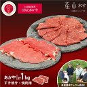 【ふるさと納税】【山の里】生産者直送！GI認証　くまもとあか牛すき焼き用500g・焼き肉用500g 食べ比べセット BBQ 焼き肉 焼肉 すき焼き くまもとあか牛 赤身 和牛 牛肉 牛 国産 あか牛 山の里 贈り物 お中元 お歳暮 熊本 阿蘇 産山村《60日以内に出荷予定(土日祝除く)》