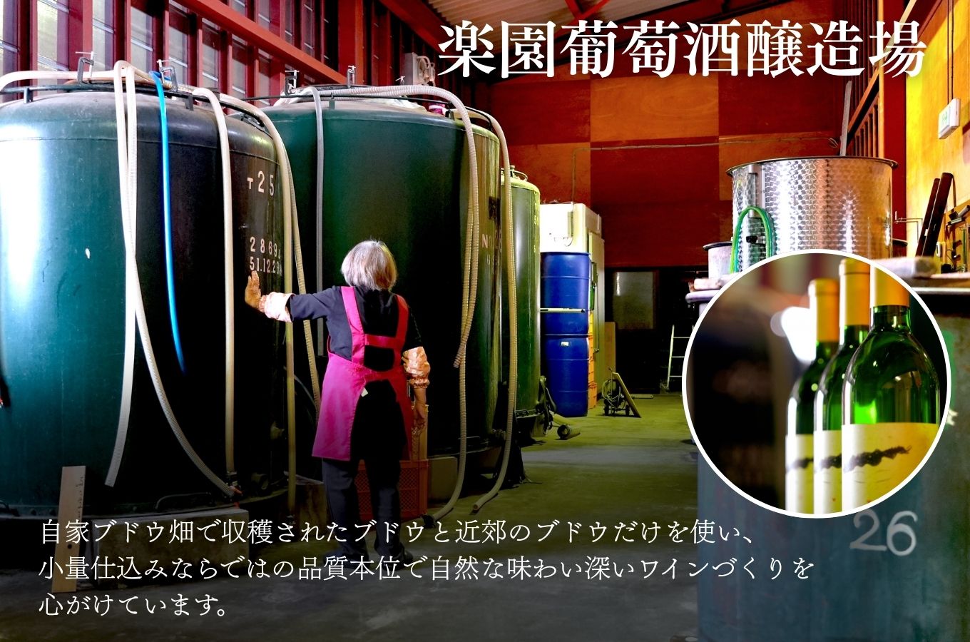 【峨眉】赤ワイン・【楽園】甲州白ワイン 6本セット 楽園葡萄酒醸造場 [5839-2050]