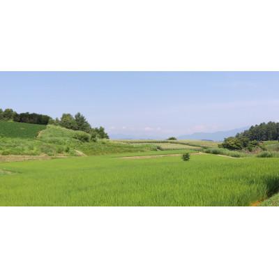 ふるさと納税 長野県 コシヒカリ 玄米 5kg【 栽培期間中低農薬 】令和7年産 長野県東御市御牧ヶ原産 |  | 01