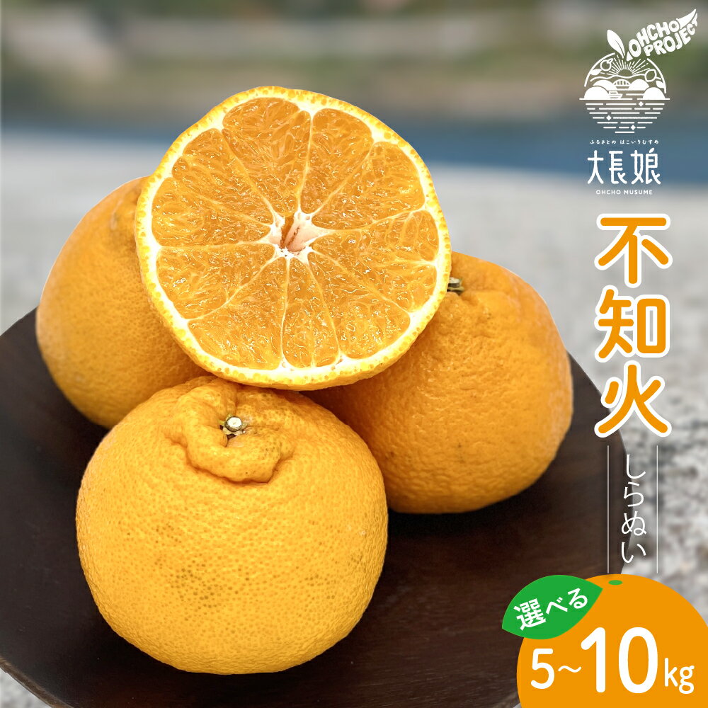 【ふるさと納税】 先行予約 大長プロジェクト 大長娘 不知火 約 5kg / 約 10kg【2026年2月初旬～発送】内容量が選べる しらぬい フルーツ 果物 柑橘 お取り寄せグルメ 国産 国内産 産地直送 送料無料 先行受付 大容量 広島県 呉市