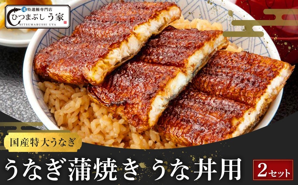 
国産特大うなぎ蒲焼き（うな丼用２セット）
