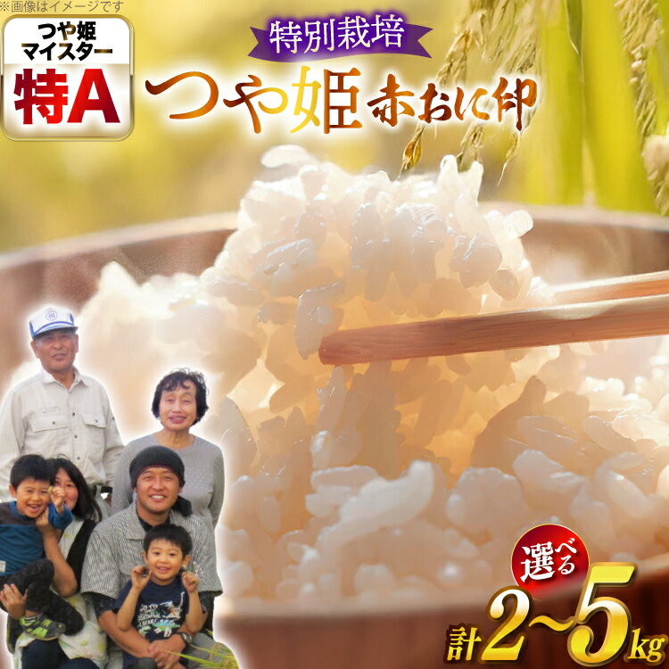【ふるさと納税】 米 令和7年産 特別栽培米 赤おに印 つや姫 2kg 5kg [tk06ays950000 山形県 高畠町 金子農園] 精米 白米 米 お米 ブランド米 ごはん ご飯 こめ コメ kome