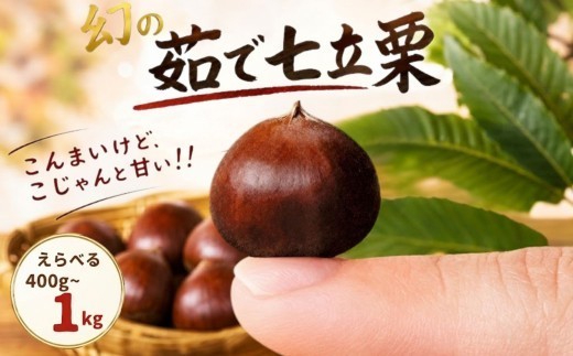 
                  えらべる!〈冷凍〉ゆで七立栗 200g × 2~5 パック 400g 800g 1kg 茹で栗 冷凍 真空パック くり クリ 小粒 あまい 七立栗 和栗 秋 贅沢 秋の味覚 旬 人気 お手軽 簡単 調理 国産 フルーツ くだもの おやつ お菓子 秋ギフト 小分け ゆでぐり マロン モンブラン 栗スイーツ 栗きんとん 期間限定 高知 黒潮町  [1314-oya]
                