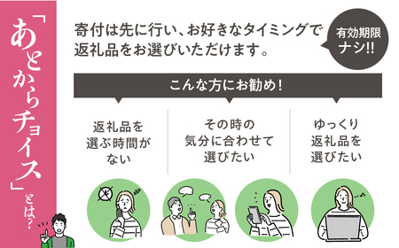あとからチョイス 3万円  本巣市返礼品カタログ