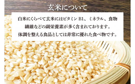 【生産者応援】 完熟あさ陽米 (玄米) 20kg (5kg×4) ひとめぼれ 特別栽培米 令和7年産 生産農家直送 米 産地直送 こめ 玄米 ご飯 あさ陽米 岩手県 特別栽培 農家直送 事業者応援 生