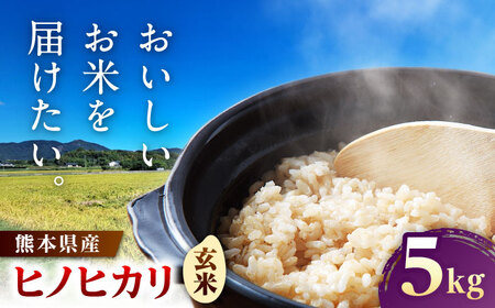【先行予約】 ヒノヒカリ 玄米 5㎏（5㎏×1袋） 【株式会社 岩下農園】[ZFS006]