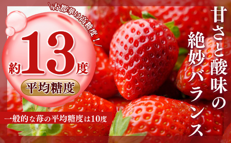 奈良のいちご「古都華～ことか～」大粒厳選 Deluxe（大箱） ※12月下旬頃〜3月下旬頃に順次発送予定　※北海道・沖縄・離島対応不可 | フルーツ くだもの 果物 いちご イチゴ ことか コトカ 古