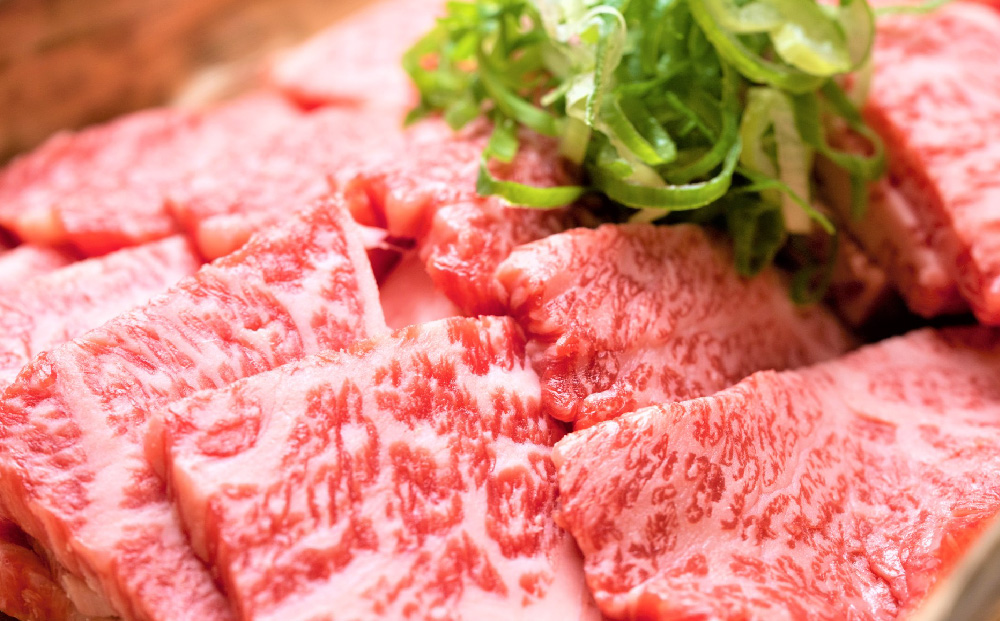 【6か月定期便】艶さし！【A4～A5】佐賀牛焼肉用 500g×6回【肉 牛肉 ブランド牛 黒毛和牛 ふるさと納税】(H112167)