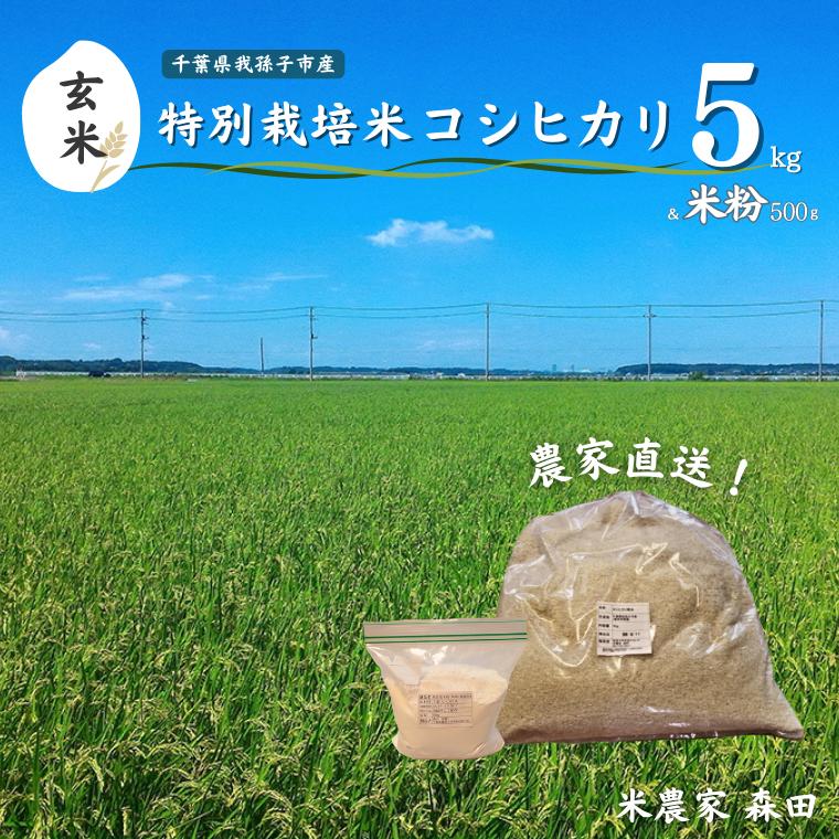 AT002-c 【冷めても美味しい】農家直送 千葉県産 特別栽培米コシヒカリ 5kg（玄米）と米粉のセット