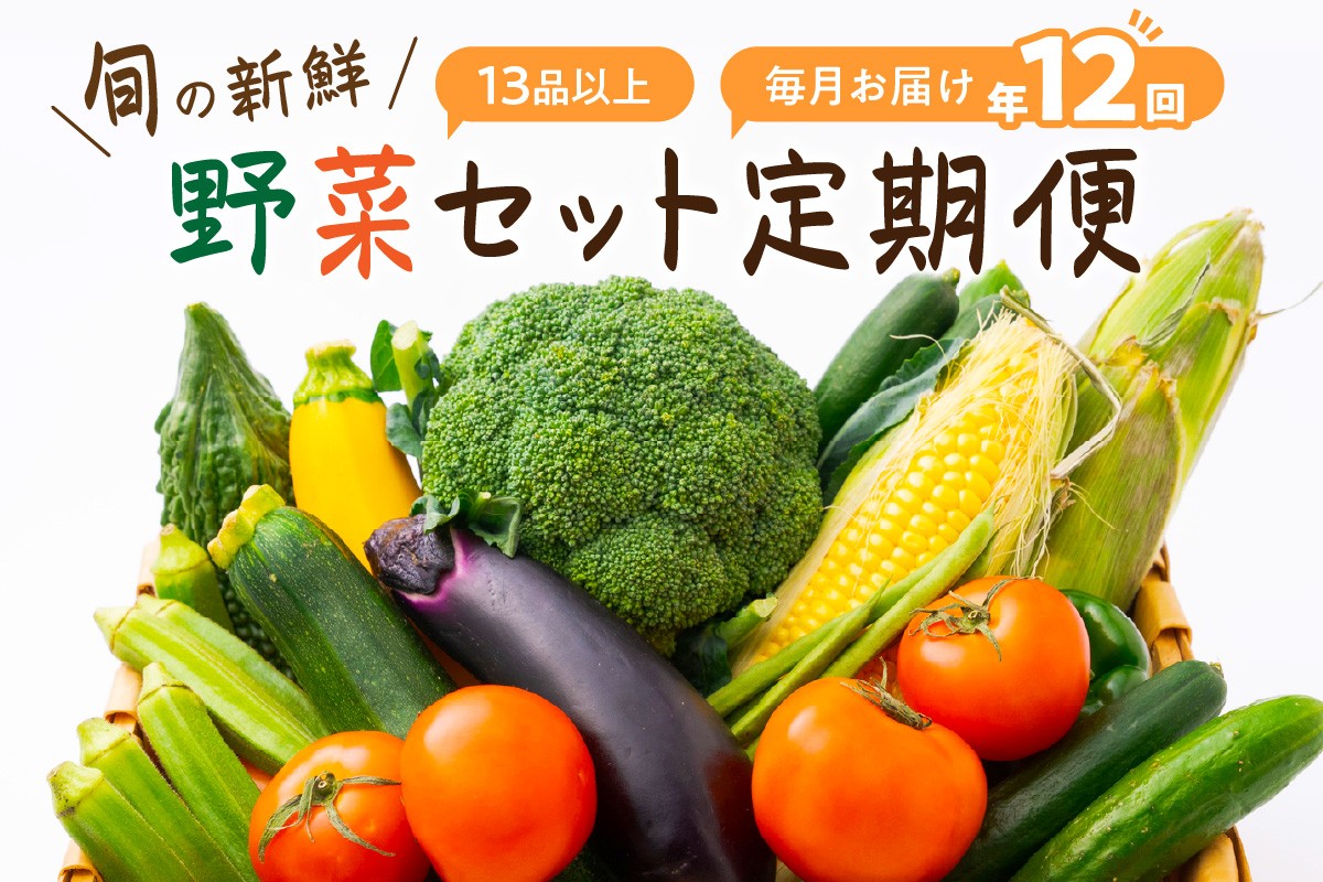 
定期便 旬の新鮮 野菜セットＡ 【 毎月お届け 12回 】 たっぷり13品以上 八百屋 詰め合わせ セット やさい ミネラル 小松菜 キャベツ 大根 なすび 茄子 ミニトマト 新玉ねぎ しいたけ ブロッコリー 【8004-1】
