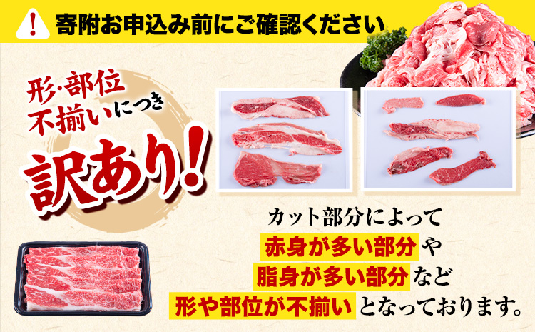 博多和牛・黒毛和牛 切り落とし900g(300g×3パック)《30日以内に出荷予定(土日祝除く)》九州産 牛肉 切り落とし  ---sc_fsruhkri_30d_23_14000_900g---