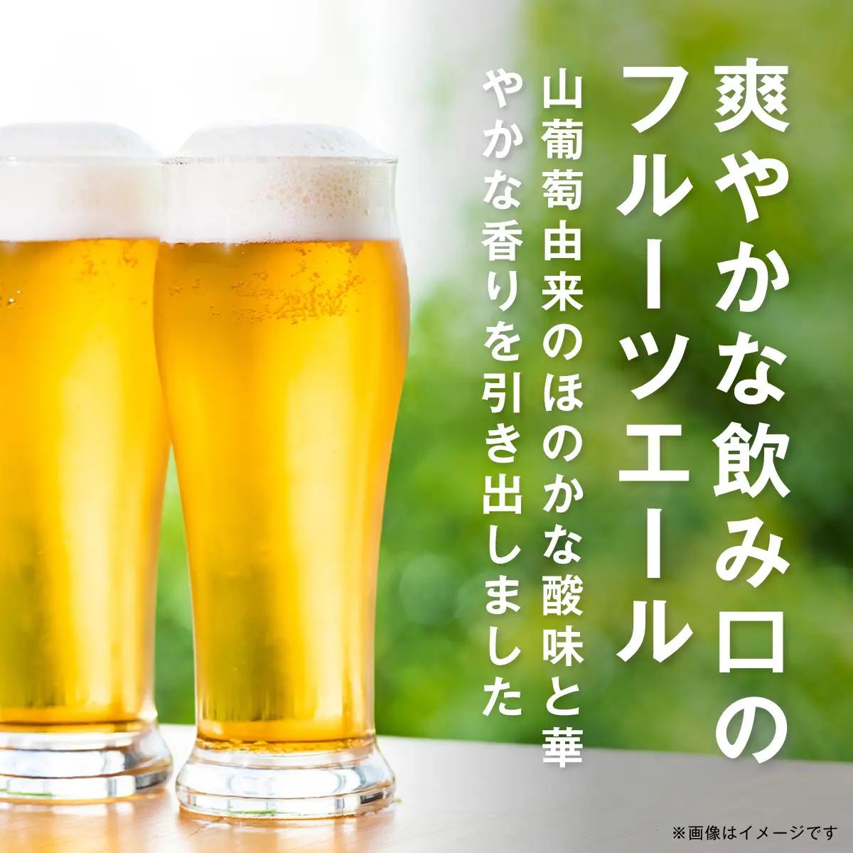 【先行予約】網走ビール（数量限定）ABASHIRI Yamasachi Ale 24本セット（2026年4月24日以降発送予定） ABH077