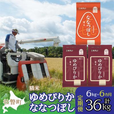 ふるさと納税 壮瞥町 【令和7年産】【6ヶ月定期】(精米6kg)食べ比べセット(ゆめぴりか、ななつぼし) SBTD131