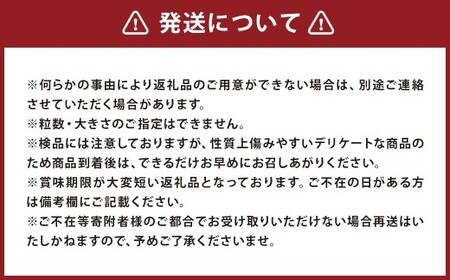 【訳あり】夏野菜セット3品【ミニトマト・なす・きゅうり】【2026年7月下旬～8月下旬発送予定】／ミニトマト トマト フルーツトマト なす きゅうり セット 野菜セット 詰め合わせ 詰合せ 野菜詰め合