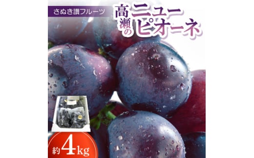 さぬき讃フルーツ「高瀬のニューピオーネ」約4kg ＜令和7年8～9月発送＞【1609807】