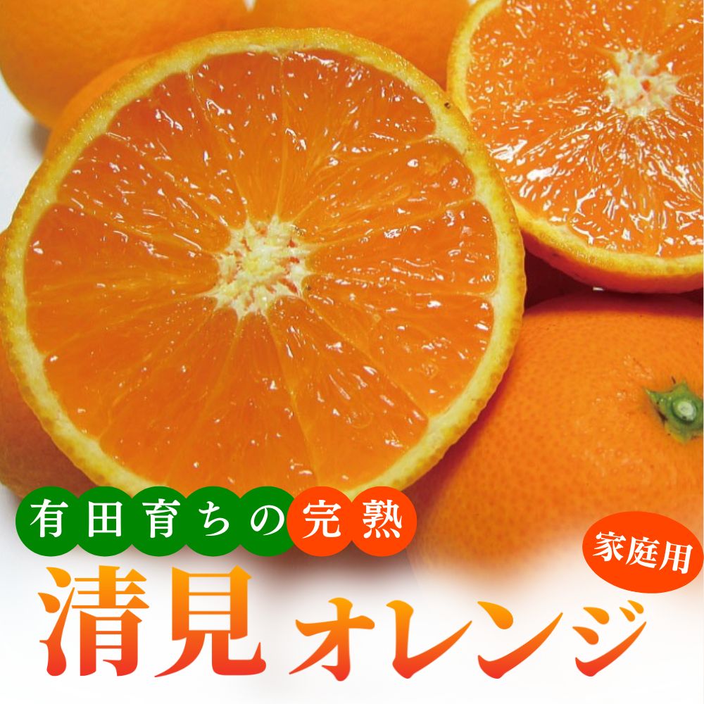 【ふるさと納税】【先行予約】 産地直送 有田 育ちの ご家庭用 完熟 清見 オレンジ ※2026年2月下旬～2026年3月下旬に順次発送 ※北海道・沖縄・その他離島地域は発送不可 / みかん 和歌山 有田 オレンジ フルーツ 果物 甘い