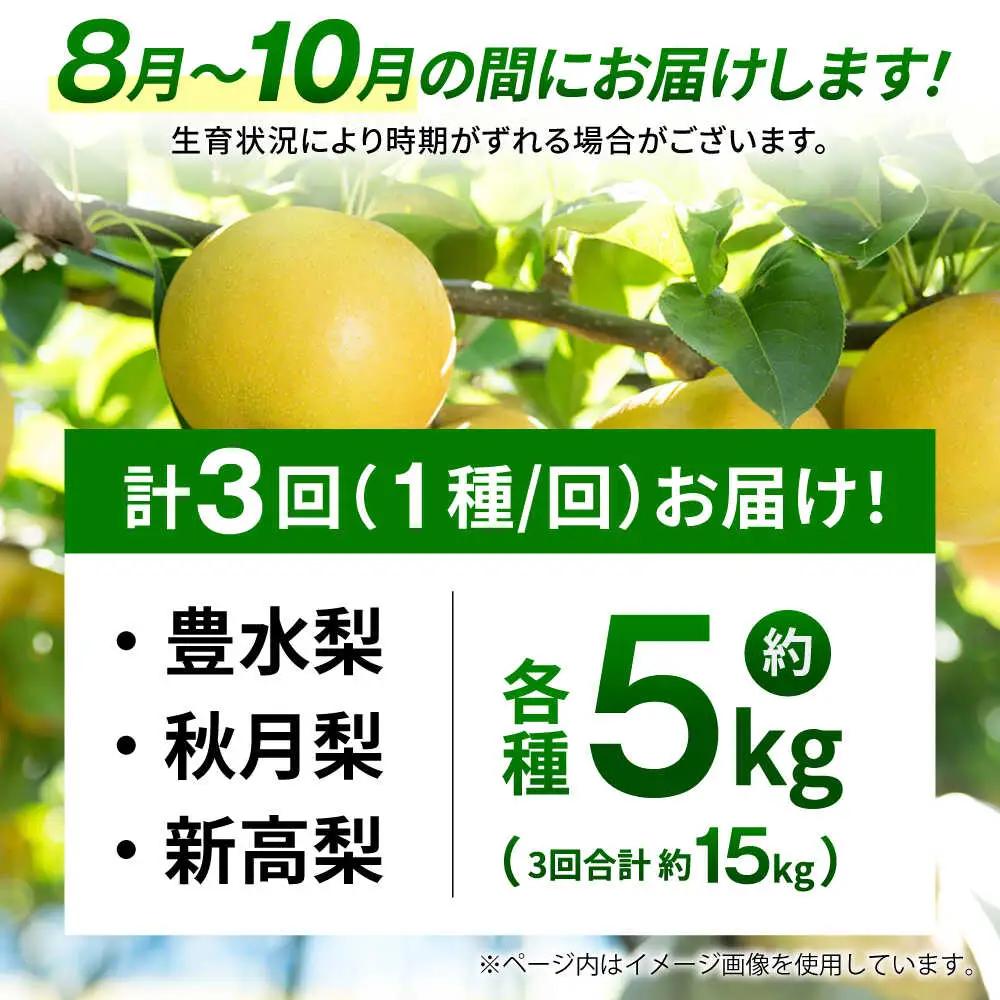 【先行予約】【3回定期便】 梨 約5kg 計約15kg（豊水・秋月・新高）  梨 ナシ フルーツ 果物 【日本フルーツ株式会社】 [ZFJ024]