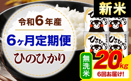 【6ヶ月定期便】令和6年産 新米 無洗米 ひのひかり 定期便 20kg《申込み翌月から発送》令和6年産 熊本県産 ふるさと納税 精米 ひの 米 こめ ふるさとのうぜい ヒノヒカリ コメ お米 hino