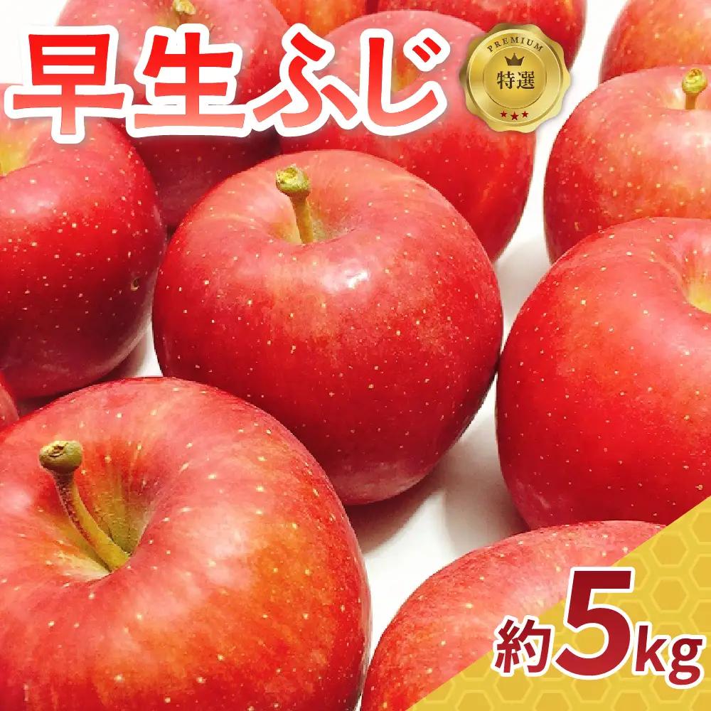 【2026年10月発送】 りんご 約5kg ≪特選≫ 早生ふじ 青森県産 りんご