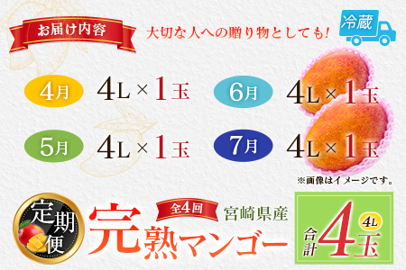 【定期便 完熟マンゴー】2027年出荷 4L×1玉 全4回 果物 フルーツ E221-27