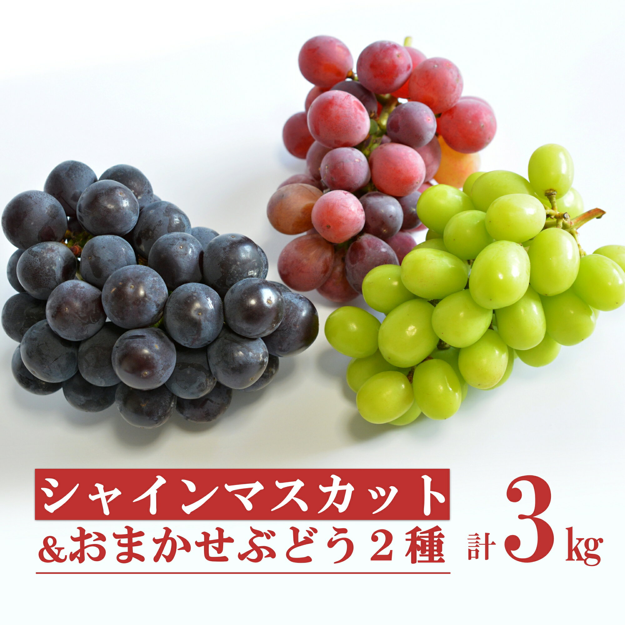【ふるさと納税】【2026年発送】安部ぶどう園のシャインマスカットとおまかせぶどう2種詰合せ約3kg_H220(R8)