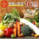 【ふるさと納税】季節の野菜 16品目 セット 野菜 やさい 詰め合わせ 旬の野菜 ランダム おまかせ 冷蔵 国産 春 旬 春野菜 送料無料