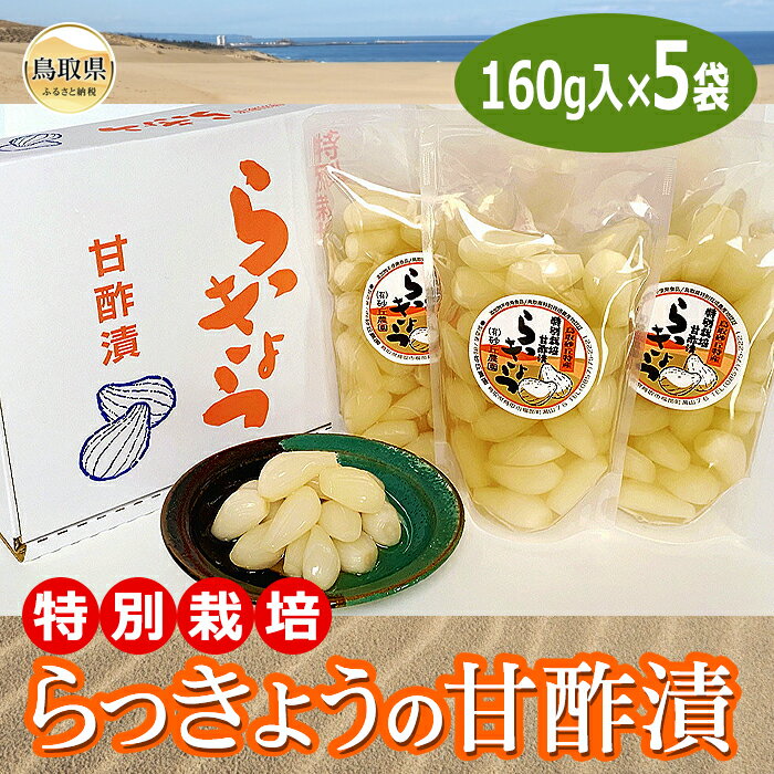【ふるさと納税】A25-025 （※お歳暮専用※）特別栽培らっきょうの甘酢漬 鳥取県 おすすめ 砂丘らっきょう