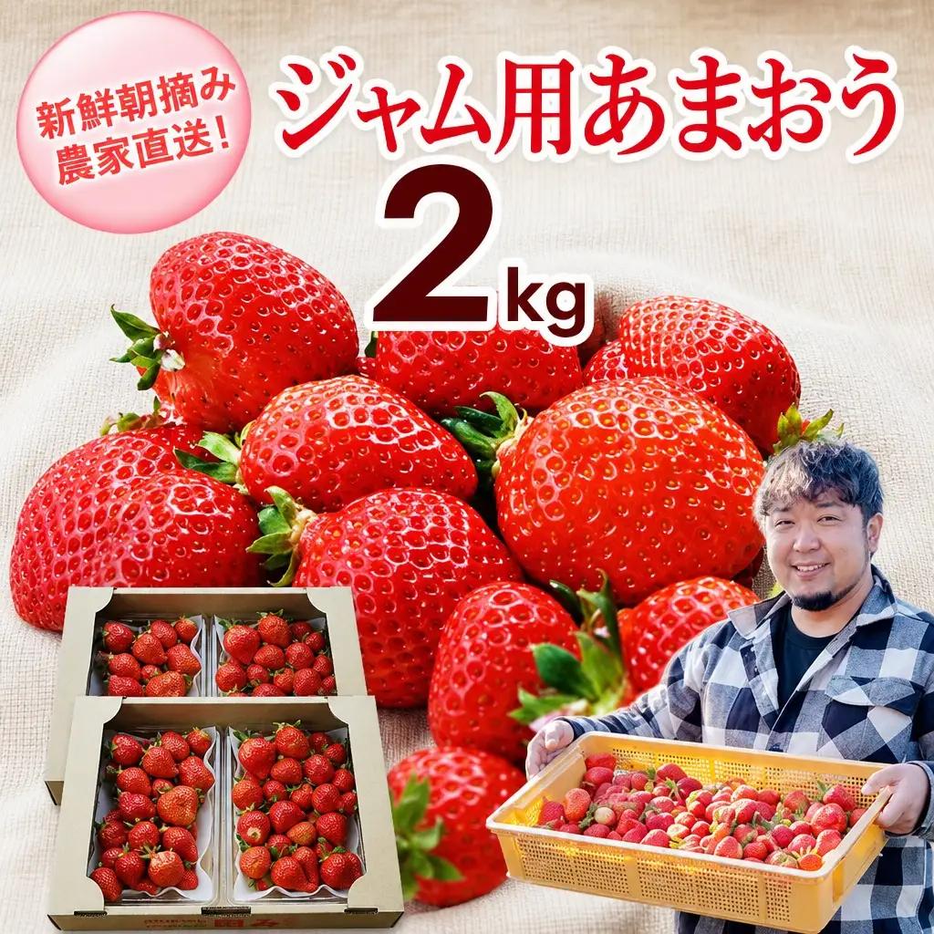 いちご ジャム用あまおういちご 2kg 【2月後半～5月前半発送】BD07