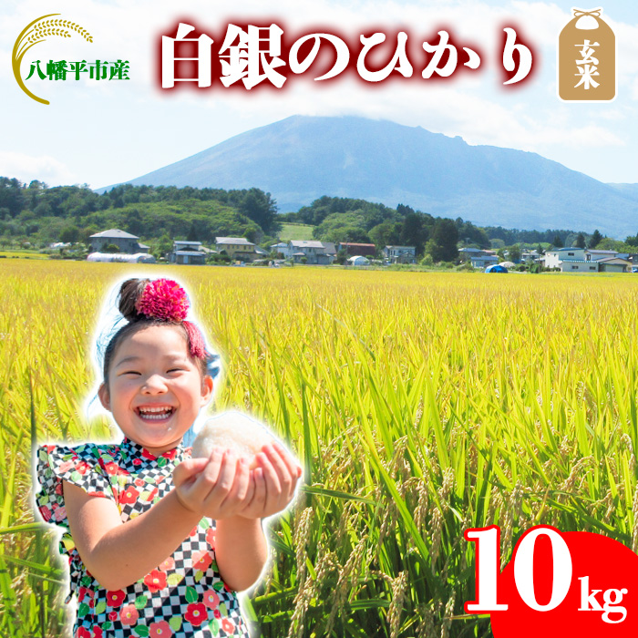 BO-041-E 白銀のひかり 玄米 10kg ／ かきのうえ
