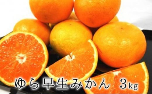 【2026年10月上旬より順次発送】甘みと酸味がギュッ　ゆら早生みかん3kg★★◆