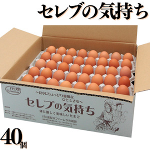 産地直送 卵 40個 セレブの気持ち たまご | タマゴ 玉子 115M