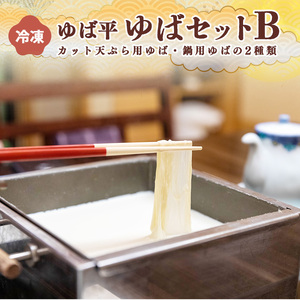ゆば平 ゆば セット B【 カット 天ぷら 用 + 鍋 用】 | 湯葉 冷凍
