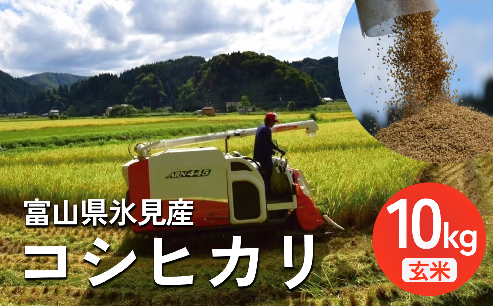 ＜先行予約＞ 令和7年産 富山県氷見産 コシヒカリ 玄米 10kg ＜2025年10月中旬以降順次発送＞ 富山県 氷見市 米 こしひかり