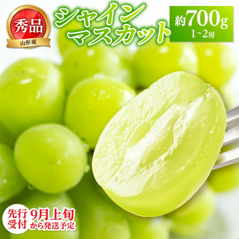 【ふるさと納税】《先行受付》★山形産シャインマスカット★約700g以上(1～2房)秀品【2026年9月頃～順次発送予定】 山形県 大江町 シャインマスカット ぶどう 種なし 皮ごと食べられる 700g以上 甘い ご褒美 フルーツ 果物 秀品