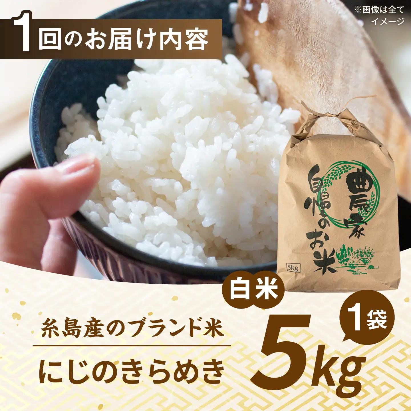 【先行受付】【全6回定期便】 にじのきらめき 白米 5kg 【2026年9月中旬以降順次発送】 糸島市産 糸島市 / 糸島の恵み コメ こめ ご飯[AGR016]
