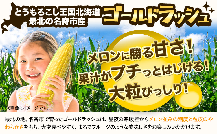 【特大】 とうもろこし 極甘 スイートコーン 「 ゴールドラッシュ 」 8.5kg 以上 20～22本 特大 サイズ《 7月 下旬- 9月 中旬頃出荷予定》 朝採れ 真空予冷 冷蔵 高糖度 先行予約 