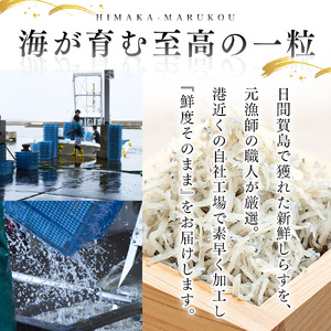 日間賀島 釜揚げしらす 1kg 【しらすしらす】