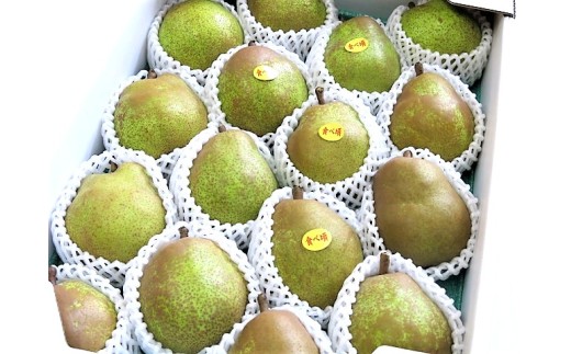 西洋梨（ラ・フランス）５ｋｇ　中玉～大玉　0075-2609