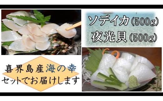 【真空冷凍】夜光貝の刺身500ｇ・ソデイカ500ｇ【漁師直送!!】