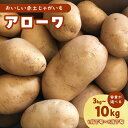 【ふるさと納税】【2025年先行予約】 沖永良部島産 おいしい 赤土 じゃがいも アローワ 選べる 3kg ～ 10kg 1月下旬 〜 5月下旬 期間 数量 限定 野菜 根菜 芋 ホクホク 予約 カレー 肉じゃが コロッケ まるとよ農産 鹿児島 和泊町 おすすめ ランキング プレゼント ギフト