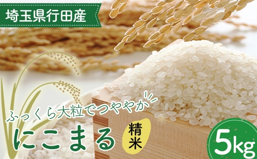 埼玉県行田産にこまる（精米）5kg×1 ／ にこまる 白米 精米 5kg 特別栽培米 大粒 米 甘み 粘り 精米したて 冷めても美味しい お弁当 おにぎり 毎日食べる米 粒立ち 埼玉県 No.519