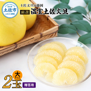 【先行予約】厳選 温室土佐文旦  大玉 2玉 〈贈答用木箱入り〉約600g×2個〈2026年12月上旬から発送〉 /ぶんたん ブンタン フルーツ 柑橘 みかん 果物 くだもの 土佐文旦の藤岡 旬 プレゼント ギフト 贈答 贈り物【土佐文旦の藤岡】 [BQBJ003]