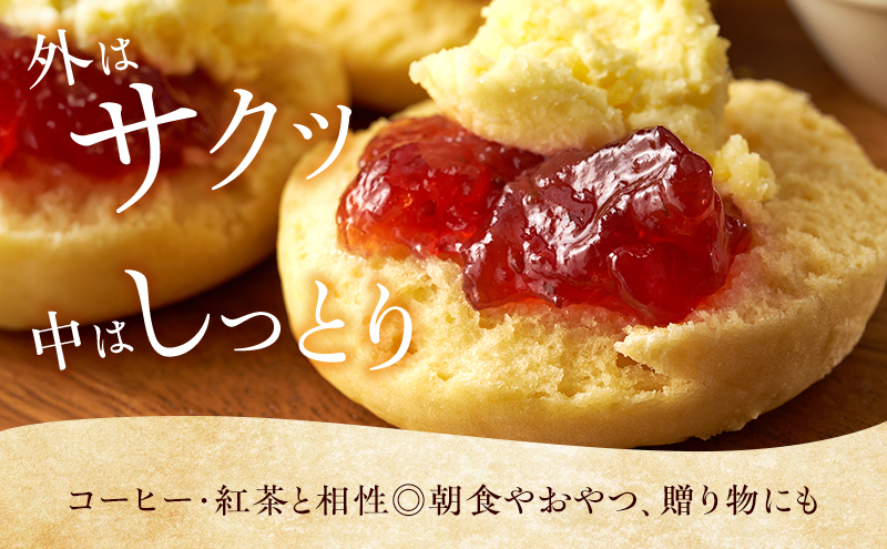 スコーン 詰め合わせ 6個セット 3種類 カシューナッツ レーズン ココア＆チョコ 手作り 焼き菓子