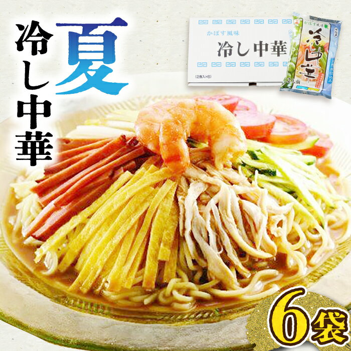 【ふるさと納税】夏冷し中華 6袋入《豊前市》【富士菊】[VAI016] 冷やし中華 中華麺 中華 麺 麺類 夏バテ 簡単 時短 福岡市 ひやし中華 冷麺 個包装 国産 ご当地 10000 10000円