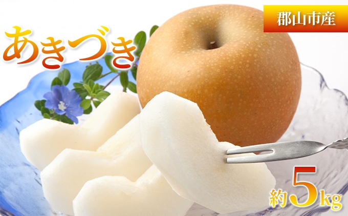 あきづき 約5kg 梨 なし フルーツ 果物 デザート 旬 ナシ やわらかい 酸味少なめ 産地直送 常温 若林果樹園 福島県 郡山市