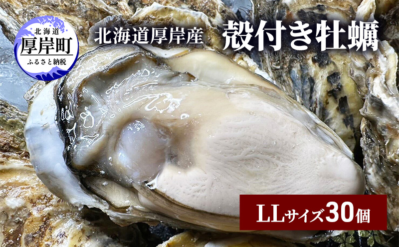 北海道 厚岸産 殻付き 牡蠣 LLサイズ 30個 魚貝類 生牡蠣 海鮮 海の幸 生食用牡蠣 生食用 生食用殻付き牡蠣 濃厚 甘み マルえもん オイスター 