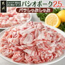 【ふるさと納税】パシオポークバラしゃぶしゃぶ2.5kg(250g×10パック) - 国産豚肉 都城産 豚バラ肉 しゃぶしゃぶ用 10P 小分け 冷しゃぶ パック包装 送料無料 AC-5406 【宮崎県都城市は2年連続ふるさと納税日本一！】