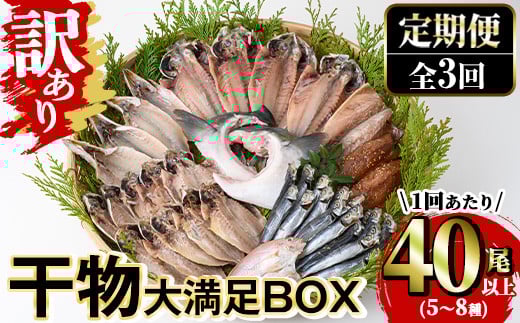 ＜定期便・全3回 (隔月)＞訳あり 干物大満足BOX(40尾以上・5～8種) 干物 丸干し 開き 魚 冷凍 訳あり 小分け 簡易包装 詰め合わせ セット 定期便 みりん干し あじ さば かます 【opaa002】【やまろ渡邉】