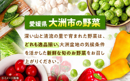 エコラブ白菜 約10kg（1箱）　愛媛県大洲市/沢井青果有限会社　白菜 野菜 生野菜 [AGBN049] 鍋もの野菜 サラダ野菜